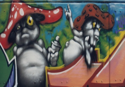 graffiti with mushrooms with a spray can