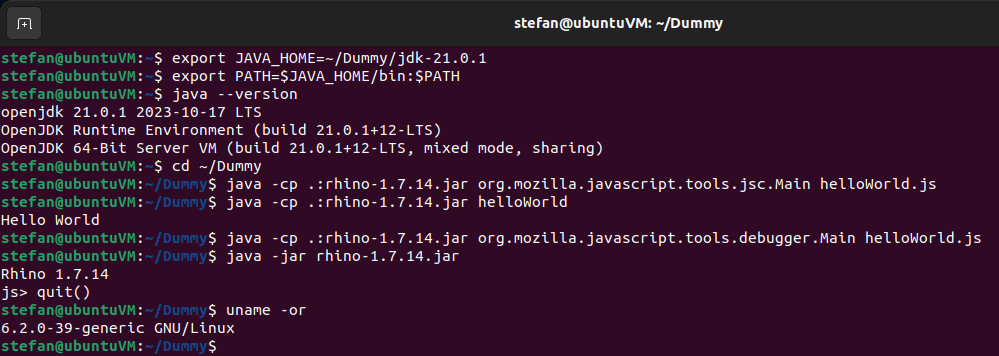 local simulation of javascript runtime environment in a virtual machine with linux